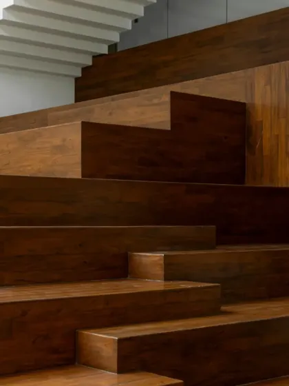 Accolades & Features photo 6