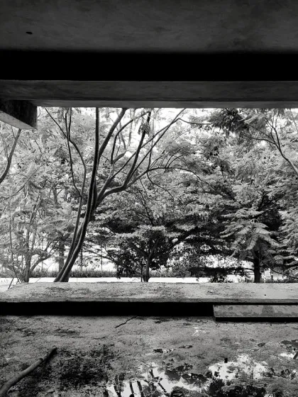 In architecture, we often talk about framing. Here, we are framing more than just a view; we are framing nature and a sense of grounding. A house should be a place that allows you to pause and take a deep breath, and this connection to the outdoors is how we achieve that.