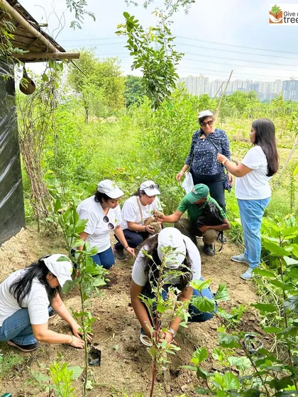 A group of dedicated volunteers, mostly women, taking part in a plantation event. Their commitment is helping us grow a green legacy, and they are true eco-heroes building a more sustainable future.