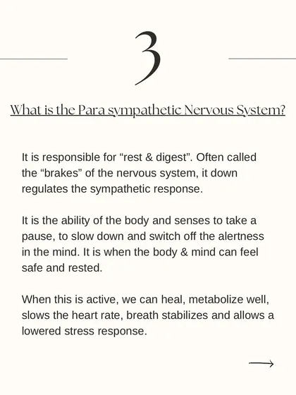This slide explains the Parasympathetic Nervous System, our "rest and digest" mode. Yogic practices like gentle flows and breathwork activate this system, promoting healing and calm.