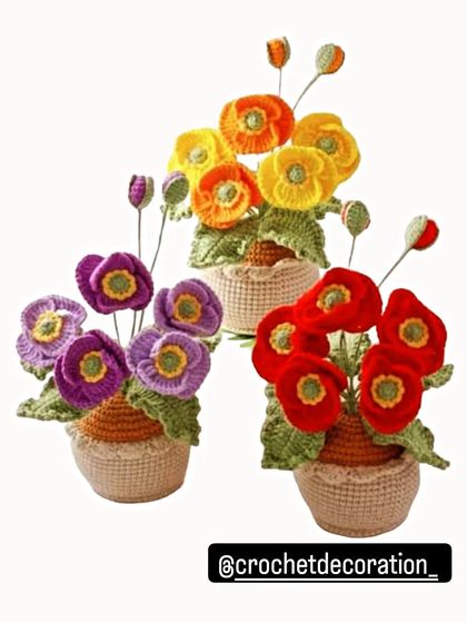 An assortment of our vibrant poppy flower pots in purple, yellow, orange, and red. These colorful arrangements can liven up any room.