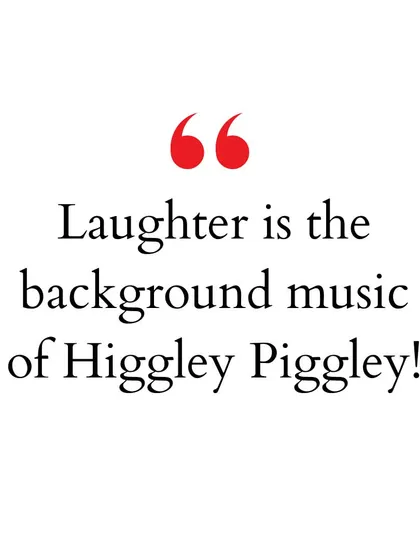 "Laughter is the background music of Higgley Piggley!" This quote perfectly describes the sound of our playzone on any given day.
