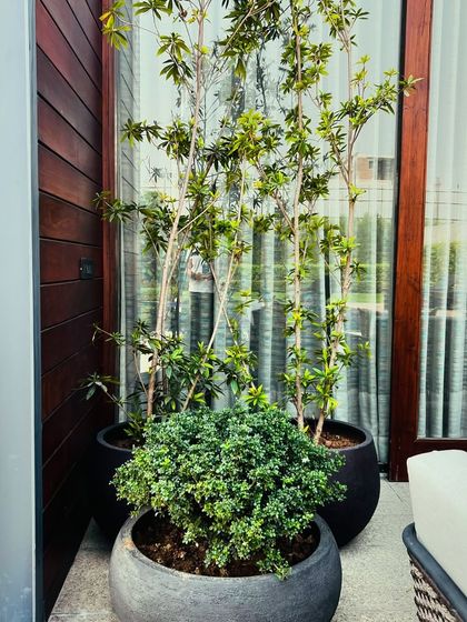 Poolside Retreats photo 20