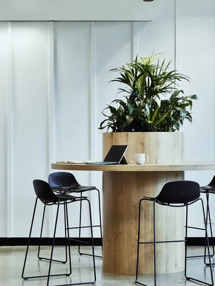 This collaborative table in a modern office features a large, central planter. It acts as a natural centerpiece that encourages interaction while bringing the calming benefits of nature to meetings.