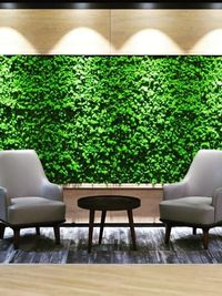 Moss Wall Installation