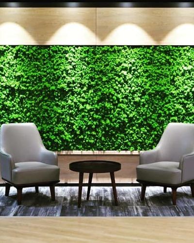 Moss Wall Installation
