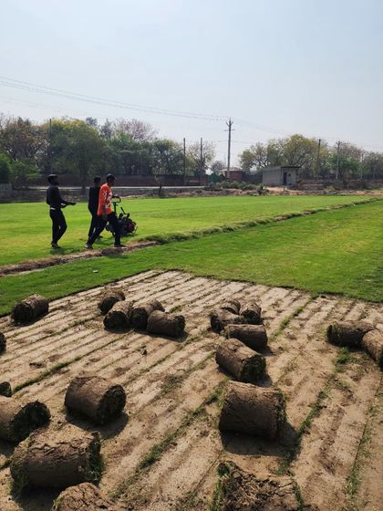 Delhi Gardner - Full-Service Landscaping Premium Lawn & Turf Solutions photo 20