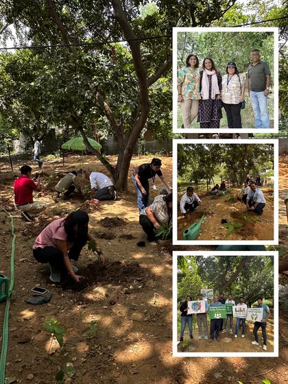 More scenes from our massive plantation drive with the Genpact team, showing dozens of volunteers digging, planting, and working together to reforest the area.
