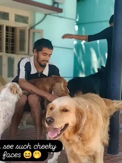 Look at those cheeky, happy faces. They know they are loved and spoiled here.