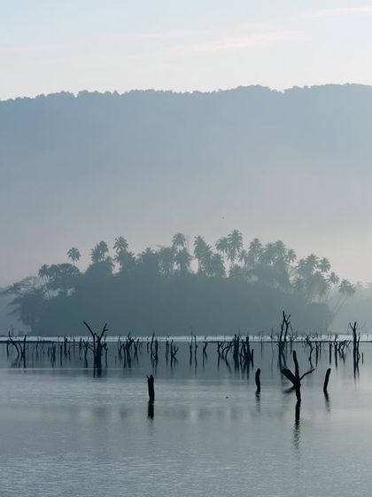 Landscapes & Lifeblood: The Power of Water photo 13