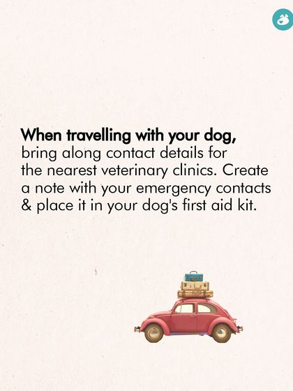 The Pack - Pet-Friendly Adventures & Meetups Pet-Parent Resources: Guides & Tips photo 34