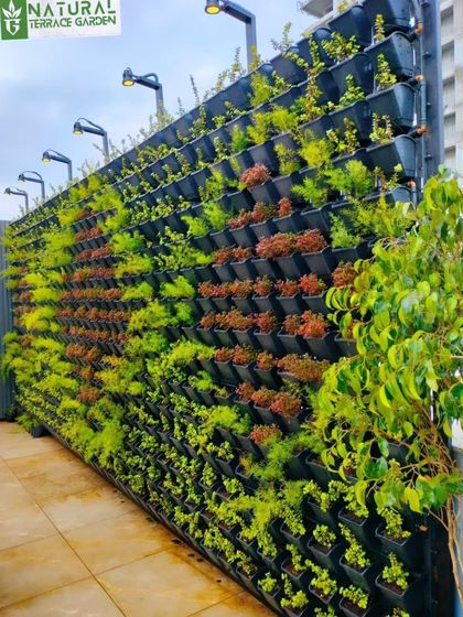 Lawns, Pathways & Vertical Gardens photo 11