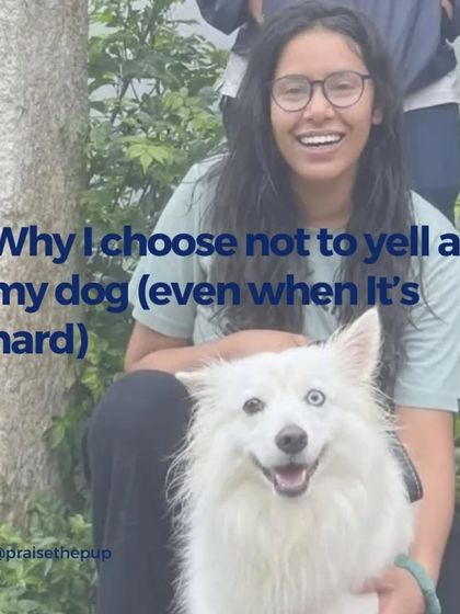 I choose not to yell at my dog, even when it's hard. This is a personal journey that raising Candy and Russel has taught me. It's about managing my own frustration to be a better, more patient partner for them.