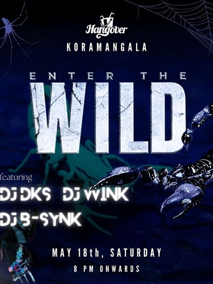 'Enter The Wild' Saturday night at Hangover, Koramangala. This themed night shows my versatility in playing for different event concepts, always keeping the music central to the experience.