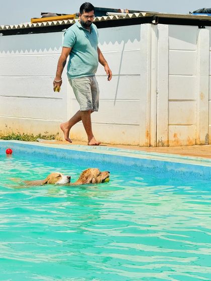 Fluffy Paws Pet Resort - Dog Park & Swimming Pool Splash & Swim: Our Human-Friendly Pool photo 35