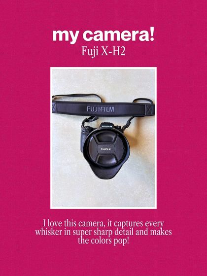 My camera, the Fuji X-H2. I love it because it captures every whisker in super sharp detail and makes colors pop.