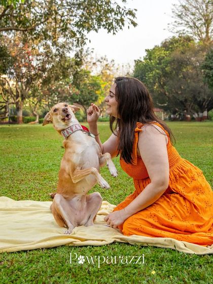 Pawparazzi By Prathima - Pet Milestone Photography Adopted & Rescued Stories photo 22