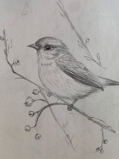 A delicate pencil sketch of a small bird on a branch, showcasing a student's ability to render soft feathers and fine details.