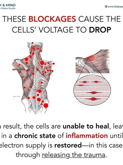 Body & Mind PhysioPilates Studio - Physical Therapy & Rehabilitation Understanding Your Body: Educational Insights photo 42