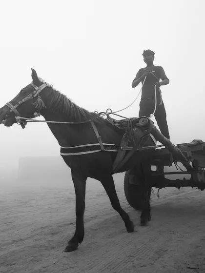 A man guides his horse and cart through the thick morning fog in rural Bihar. This black and white photograph is atmospheric and full of quiet dignity.