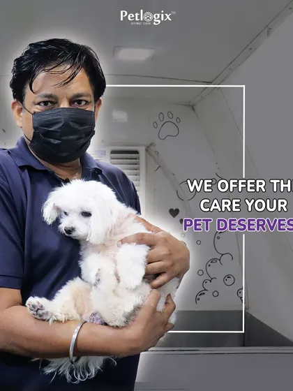 We offer the care your pet deserves. Our groomer is seen here holding a small dog, showcasing the gentle and caring approach we take with every animal.