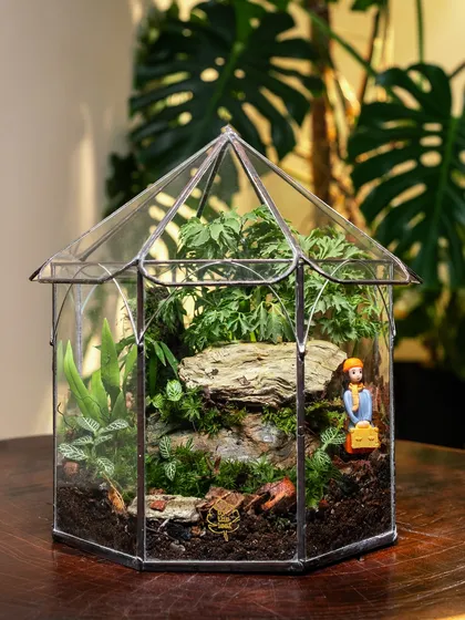 A full view of the hexagonal terrarium, showcasing its intricate glass and metal work. This piece, named 'A Place Called Solitude', is a perfect sustainable gift that promotes mindfulness.