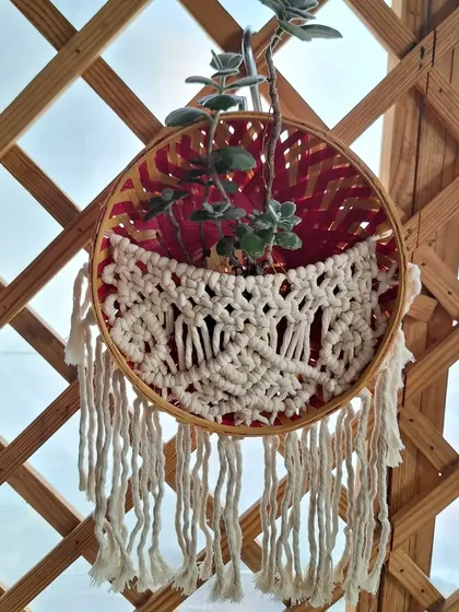 A cozy macrame basket, perfect for giving your favorite little plant a beautiful place to hang. I made this one with a colorful backing to add a pop of joy.