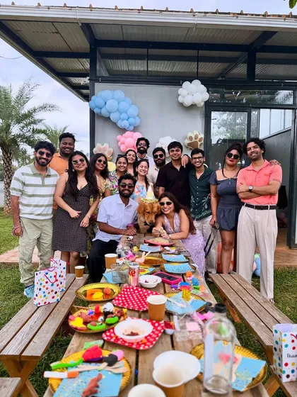 It’s not a party without the whole pack! We have plenty of space for all your friends, family, and furry companions to celebrate together, just like at Rio's birthday bash.