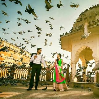 Shutterink Photography