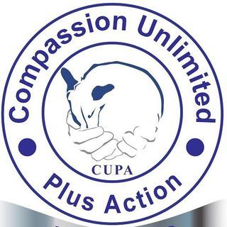 CUPA