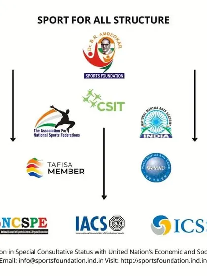 This chart illustrates the structure of our extensive sports ecosystem. It shows how NMAA India connects with national and international bodies like The Association for National Sports Federations (ANSF), TAFISA, and the World Martial Arts Games Committee (WMAGC), providing our partners with a pathway to global recognition.