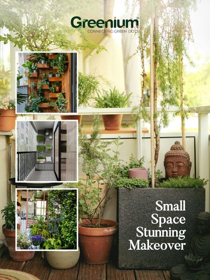 Greenium - Interior Plantscaping & Decor From Concept to Creation photo 12