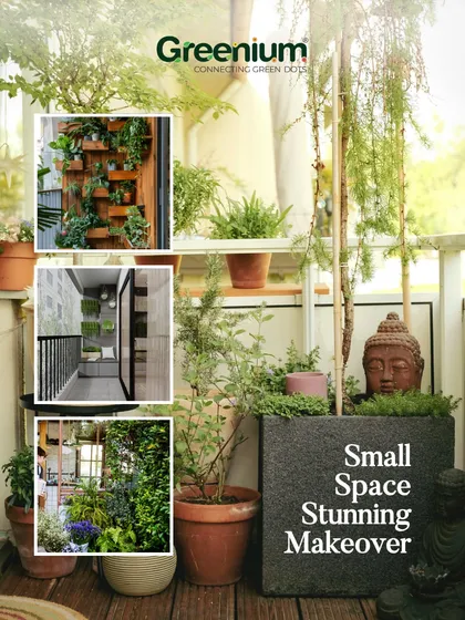 This collage represents my full-service approach, from small space makeovers to large landscape designs. I handle everything from the initial design consultation to the final setup.
