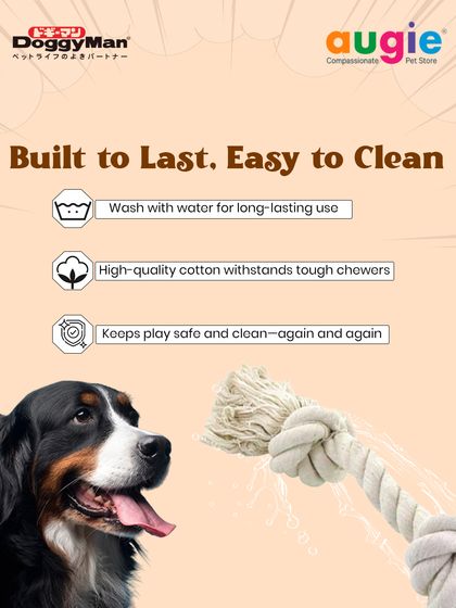 Augie Pets - Pet Supplies Playtime & Cozy Comforts photo 4