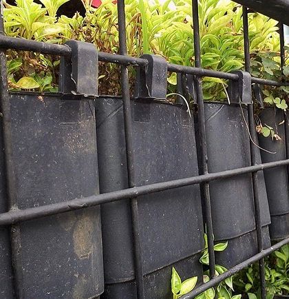 Vertical Gardens & Green Walls photo 8