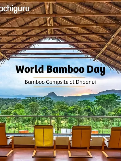 The view from our bamboo campsite at Dhaanvi farm. We use sustainable materials like bamboo not just for planting, but for creating beautiful, eco-friendly spaces for our community to enjoy.