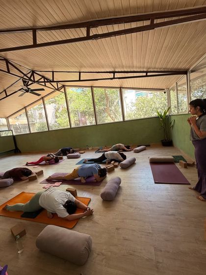 A wide shot of a restorative yoga class, with students using bolsters and blocks to relax deeply into gentle stretches.