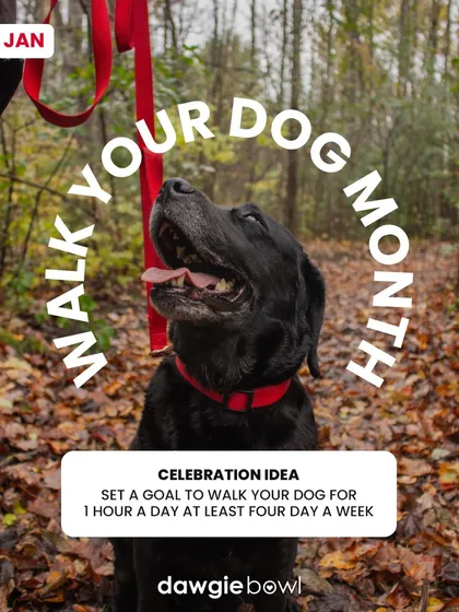 January is also Walk Your Dog Month! I encourage you to set a goal to walk your dog regularly. It's great for both physical and mental health.