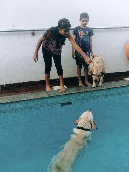 A sweet moment between two kids and their dogs. My venue is a safe and fun space for children to interact with pets.