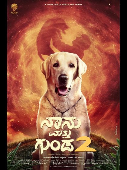 K9 Gurukul - Dog Training for Shows & Media Film & Movie Projects photo 14