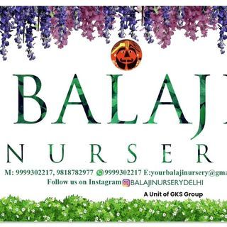 Balaji Nursery