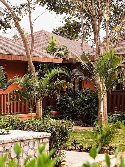 A view of our bungalows nestled among palm trees and manicured gardens. Each pathway leads to another corner of tranquility, inviting you to explore and relax.