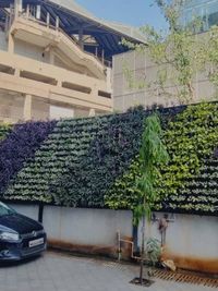 Vertical Gardens & Green Walls