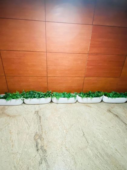 A straight-on view of the low, oblong planters lining an office wall. The uniform design provides a neat, organized, and green edge to the walkway, complementing the modern wood paneling.
