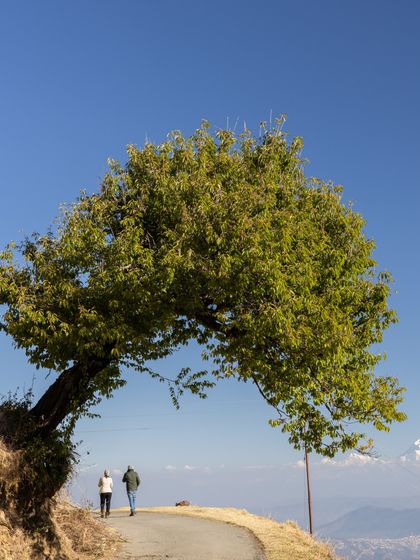 The Kumaon Sanctuary: Slow & Easy Vacations photo 18