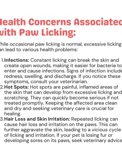 Does your pet lick their paws excessively? This common behavior can signal underlying health issues like infections or allergies. I can help diagnose the cause and recommend the right treatment.