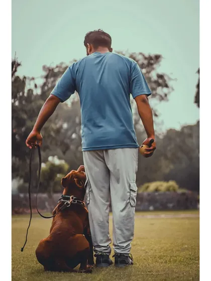 This is me with my baccha, Thor. A dog that is focused on its handler is a dog that is ready to learn and listen. This bond is the foundation of all my training.
