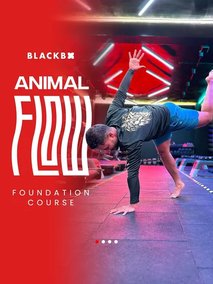 Ready to move different? Our Animal Flow Foundation Course is a bodyweight program designed to build functional strength, improve coordination, and connect you with how your body is designed to move.