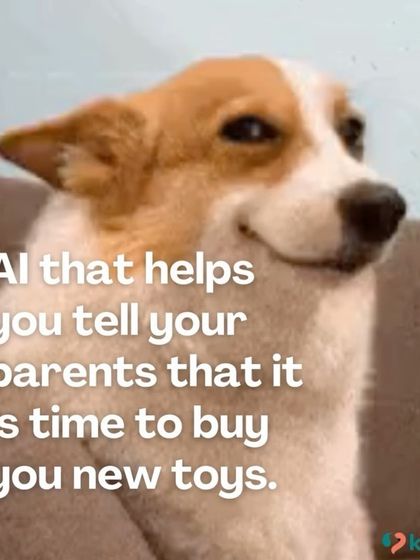 Kuddle - Pet Store The Pet Parent Life photo 14