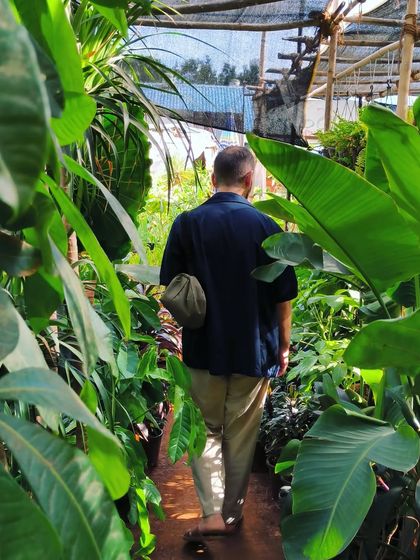 A Glimpse of Our Nursery photo 3